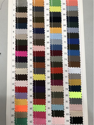 GZ-JNHE 1223 尼龍面料  背囊/雨衣面料  正面照